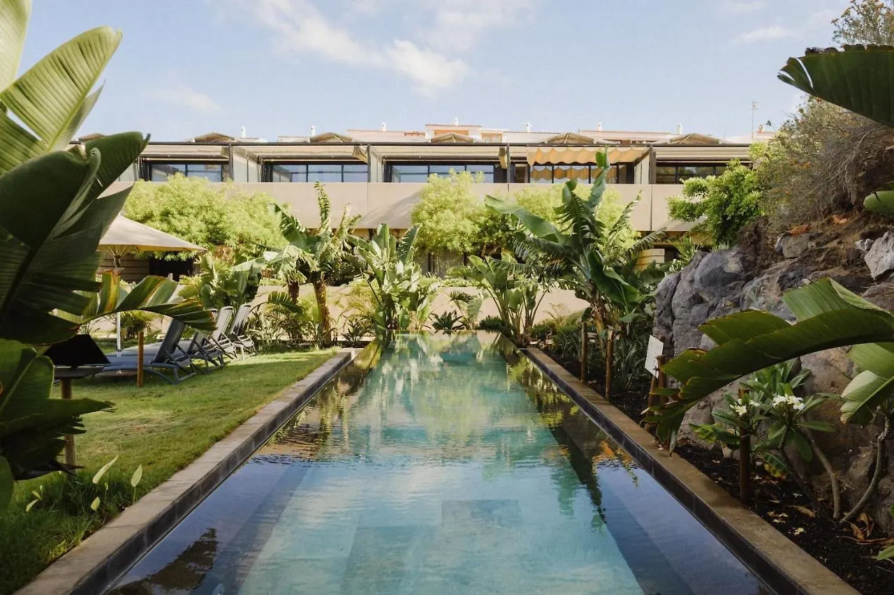 Apartamento Con Piscina Caliente, Mar, Wifi Pro, Barbacoa Gas San Miguel de Abona Appartamento